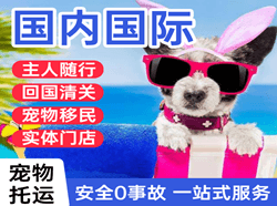 揭阳机场快运国际宠物托运 【国